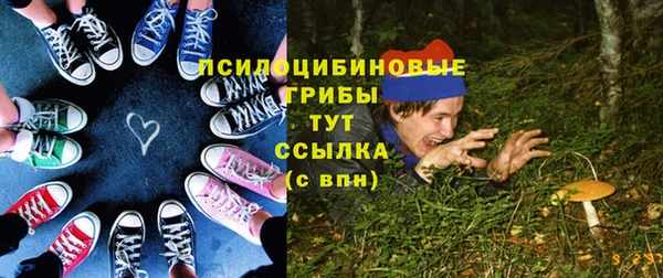 соль курить ск Заводоуковск