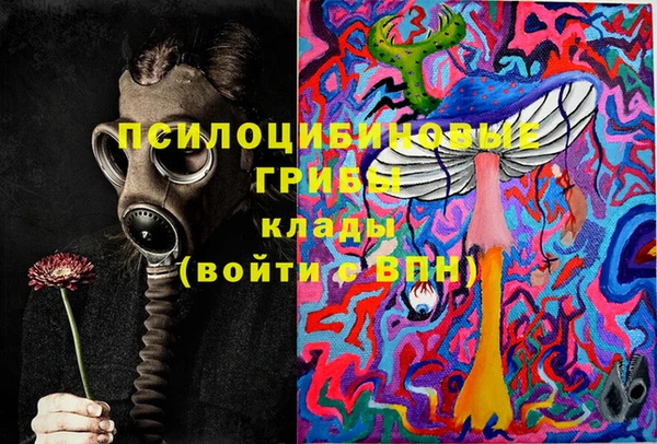 соль курить ск Заводоуковск