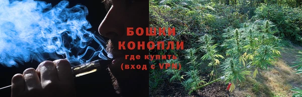 соль курить ск Заводоуковск