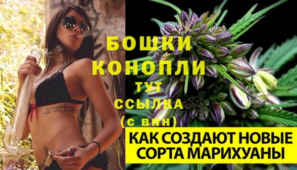 соль курить ск Заводоуковск
