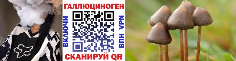 Галлюциногенные грибы MAGIC MUSHROOMS  Купить где  Кировск 